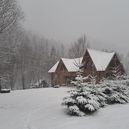 Зарінок Карпат Villa Mykulychyn Exterior photo